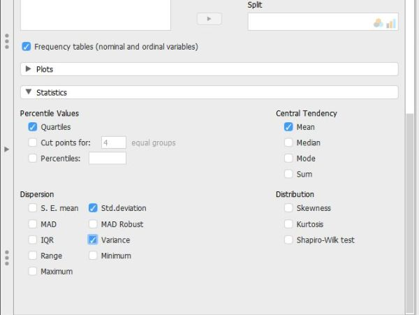 Screenshot for obtaining descriptives